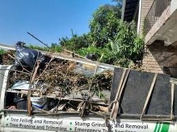 Best Retail Junk Removal  in Vla Park, IL